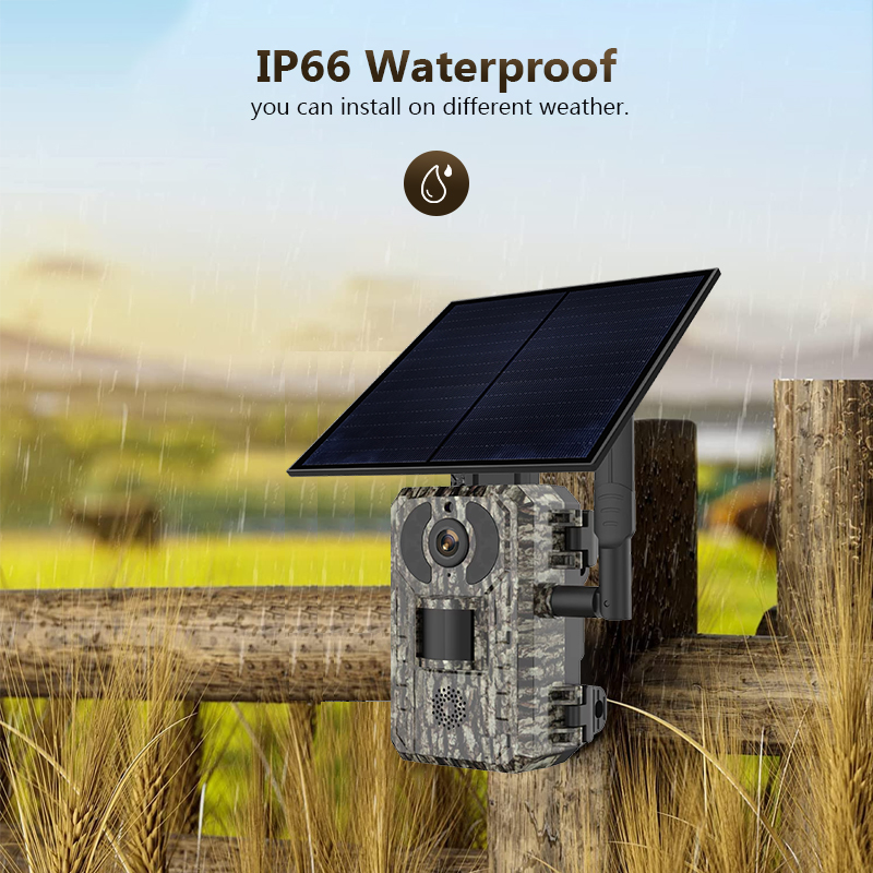 Panel Power Outdoor - กล้องล่าสัตว์ป่ากลางแจ้ง4MP 4G พร้อมแอป WiFi IP66กันน้ำใช้แผงโซล่าเพื่อความปลอดภัย