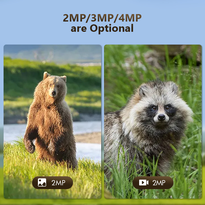 กล้องล่าสัตว์ป่ากลางแจ้ง4MP 4G - Panel Power Outdoor บทวิจารณ์และราคา